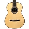 F10 Flamenco Acoustic Nylon String Classical Guitar