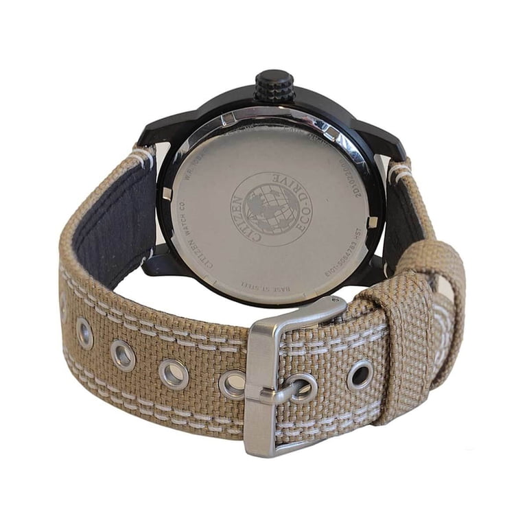 Citizen Eco-Drive Men's Watch, Black Dial, Luminous Hands, Beige