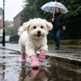 thumbnail image 5 of CSStudio 4 Pack Non Slip Dog Socks with Adjustable Straps, Waterproof Rubber Bottom Pet Paw Protector Booties, Anti Licking Traction Shoes for Indoor Floor & Light Outdoor Walks, 5 of 6