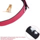 thumbnail image 4 of Paquete de 3 collares ajustables de nailon para perros, gatos y cachorros. Collares para perros y gatos. Tallas M/L/XL. Multiusos., 4 of 5
