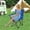 Blue, variant on Folding Camping Chair for Adults, Portable Outdoor Chair with Cup Holder & Carry Bag, for Camping Beach Picnic Fishing, Compact Foldable Chair