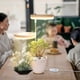 thumbnail image 3 of Plant Grow Light,full Spectrum Led Plant Light For Indoor Plants, 3 of 4