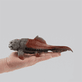 thumbnail image 2 of Toys 20cm Dinosaurios Modelo Toy Dunkleosteus Dinosaurio Figura Figura Modelo Toys Para Niños, 2 of 5