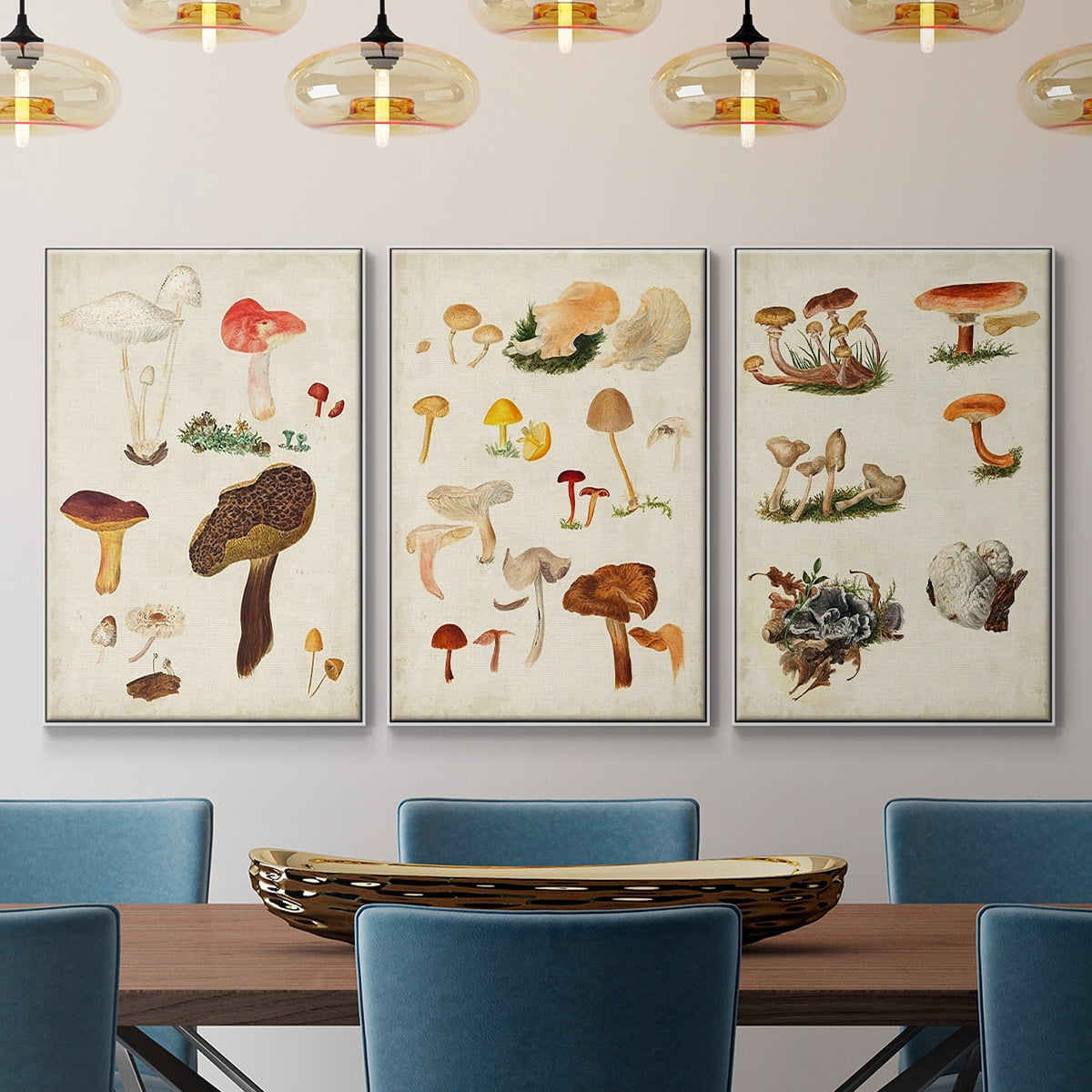 Mushroom Species X - Framed Premium Gallery Wrapped Canvas L Frame 3 Piece Set - Ready to Hang