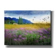 thumbnail image 1 of Epic Graffiti 'Mesa Verde and Knapweed' by Chris Vest, Canvas Wall Art, 16"x12", 1 of 3