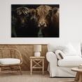 thumbnail image 2 of Cow Faces Highland Pair Canvas Wall Art, design by Amy Carroll, 2 of 8