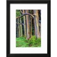 thumbnail image 2 of Hawaii, Maui, Rainbow Eucalyptus Trees, Botanical Framed Art Print Wall Art by Terry Eggers Sold by Art.Com, 2 of 2