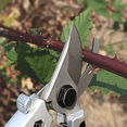 thumbnail image 6 of Zenport QV6 Premium Pruning Shear, 6-Inch, Red, 6 of 8