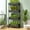 Black #2, variant on 3 Tier 4 Tier Rolling Plants Stand with Wheels - Space Saving Storage Cart for Indoor Outdoor Use - Narrow Utility Trolley for Balcony Living Room Kitchen Garden - Easy Assembly Moving Rack