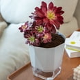 thumbnail image 2 of fastboy Self Watering Flower Automatic Flowerpot Garden Planter Rope Indoor Convenient Stable For House Planting Tool Supply White/L, 2 of 9