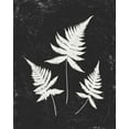 thumbnail image 2 of Hershey, Moira 15x18 Black Ornate Wood Framed with Double Matting Museum Art Print Titled - Forest Shadows IV Black Crop, 2 of 4