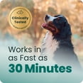 thumbnail image 2 of VetriScience Calm & Confident Chews for Dogs, Chicken, 120 Count, 2 of 11