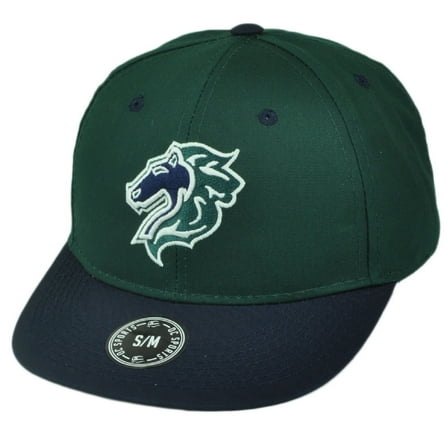 MiLB Charlotte Knights Replica Twill Youth S/M  Hat Sport Baseball Green