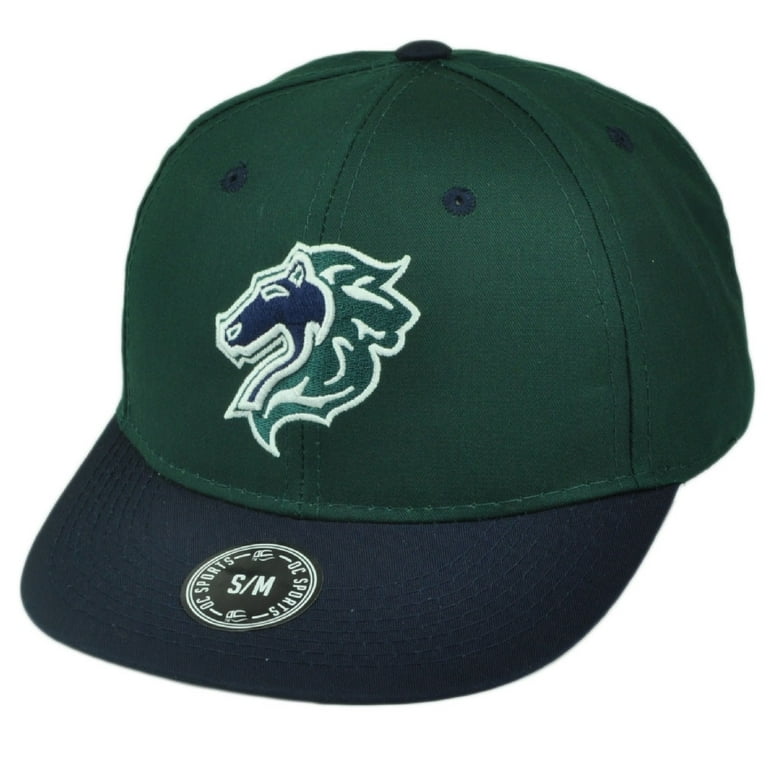 Charlotte knights cap cheap
