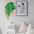 thumbnail image 4 of BRIGHTFUFU Fern Display Board Multi Wood For Wall Decoration In Indoor Plants 1Set, 4 of 8