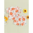 thumbnail image 5 of FEORJGP Kids Girls Summer Shorts Set Toddler Baby 6M 1T 2T 3T 4T Short Sleeve T-shirt Flower Print Shirt Crew Neck Tops with Shorts Infant Girl Loose Casual Cute Outfit, 5 of 9