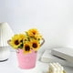 thumbnail image 5 of Jarrón vintage de metal en maceta de flores | Jarra de lata de leche de la aldea francesa de hierro | Cubo decorativo para plantas de interior y exterior | Diseño del alfabeto | Negro, Rosa, Verde, 5 of 6