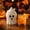 White512, variant on Tuvgenk Halloween Pumpkin Ice Bucket Silicone Beverage Cooler for Parties Camping Kitchen Counter Decor