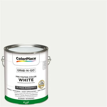 ColorPlace Ready to Use Interior Paint, White, 1 Gallon, Flat