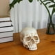 thumbnail image 5 of Cráneo Decoración Cráneo, Día de los Muertos Decoración Cráneo Humano Resina Modelo Arte, 5 of 5
