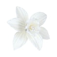 thumbnail image 2 of O'Creme White Gumpaste Daffodil 2 Inch, Set of 6, 2 of 7