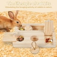 thumbnail image 2 of Guinea Pig Foraging Toys 6 In 1 Wooden Hamster Interactive Enrichment Toys Puzzle Treat Dispenser Toys Mental Stimulation Toy for Small Animals Hamsters Guinea Pigs Rabbits Chinchillas Gerbils, 2 of 7