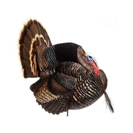 Dave Smith Decoys Strutter Turkey Decoy