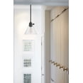 thumbnail image 7 of 1 Light Small Pendant In Transitional Style 7.75 Inches Wide By 8.25 Inches High-Black Finish-Clear Shade Color Hinkley Lighting 3697Bk-Cl, 7 of 7