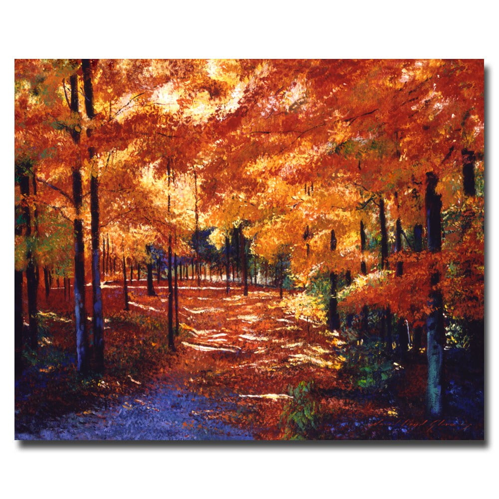 Trademark Art "Magical Forest" Canvas Wall Art by David Lloyd Glover