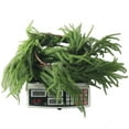 thumbnail image 4 of Christmas Wedding Decorations with Simulated Green Needle Rattan Strips, 4 of 8