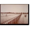 thumbnail image 2 of Historic Framed Print, Shore Line at Bay St. Louis, Miss. - 11, 17-7/8" x 21-7/8", 2 of 9