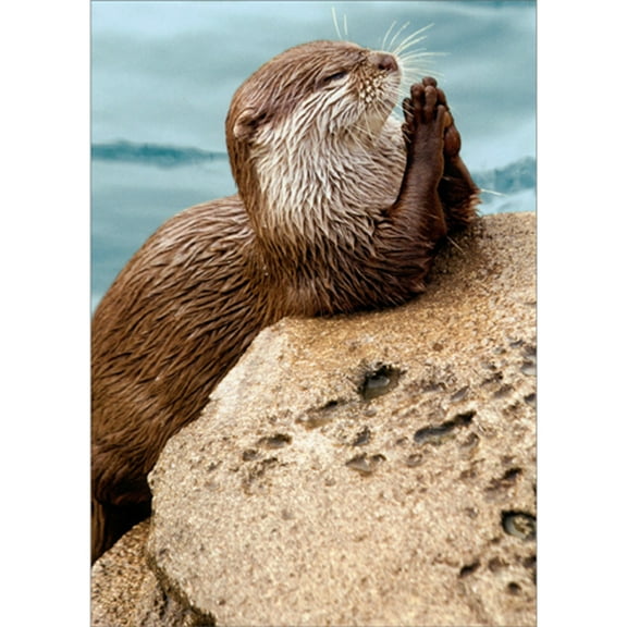 Avanti Press Praying Otter Funny / Humorous Thank You Card
