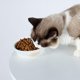 thumbnail image 5 of Alimentador de mascotas Yinane Beige, 5 of 7