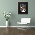 thumbnail image 3 of Trademark Fine Art "Katerskill Fall" Canvas Art by David Ayash Black Matte, Wood Frame, 3 of 4