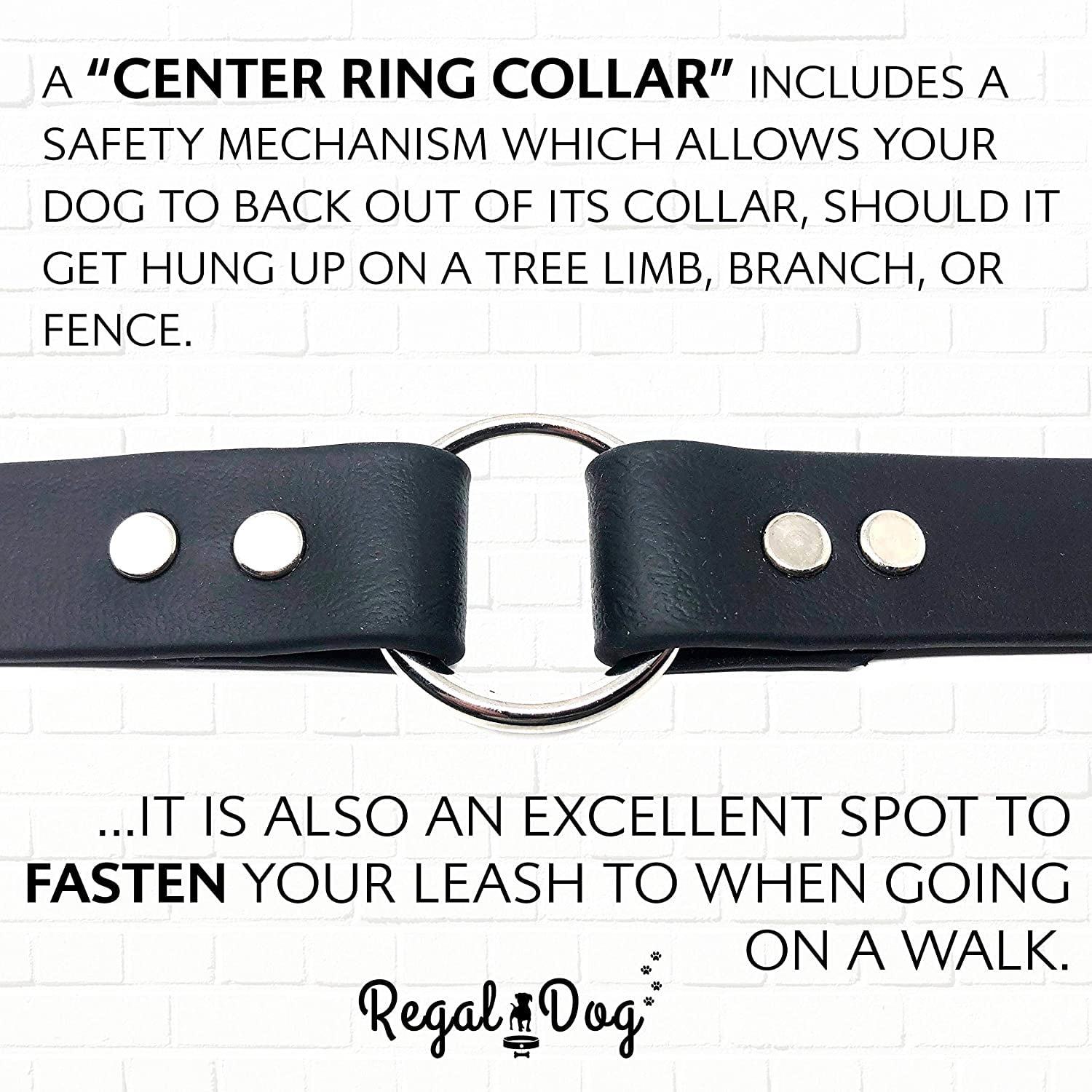 Regal Dog Products Waterproof Collar Heavy Duty Center Ring with D ring