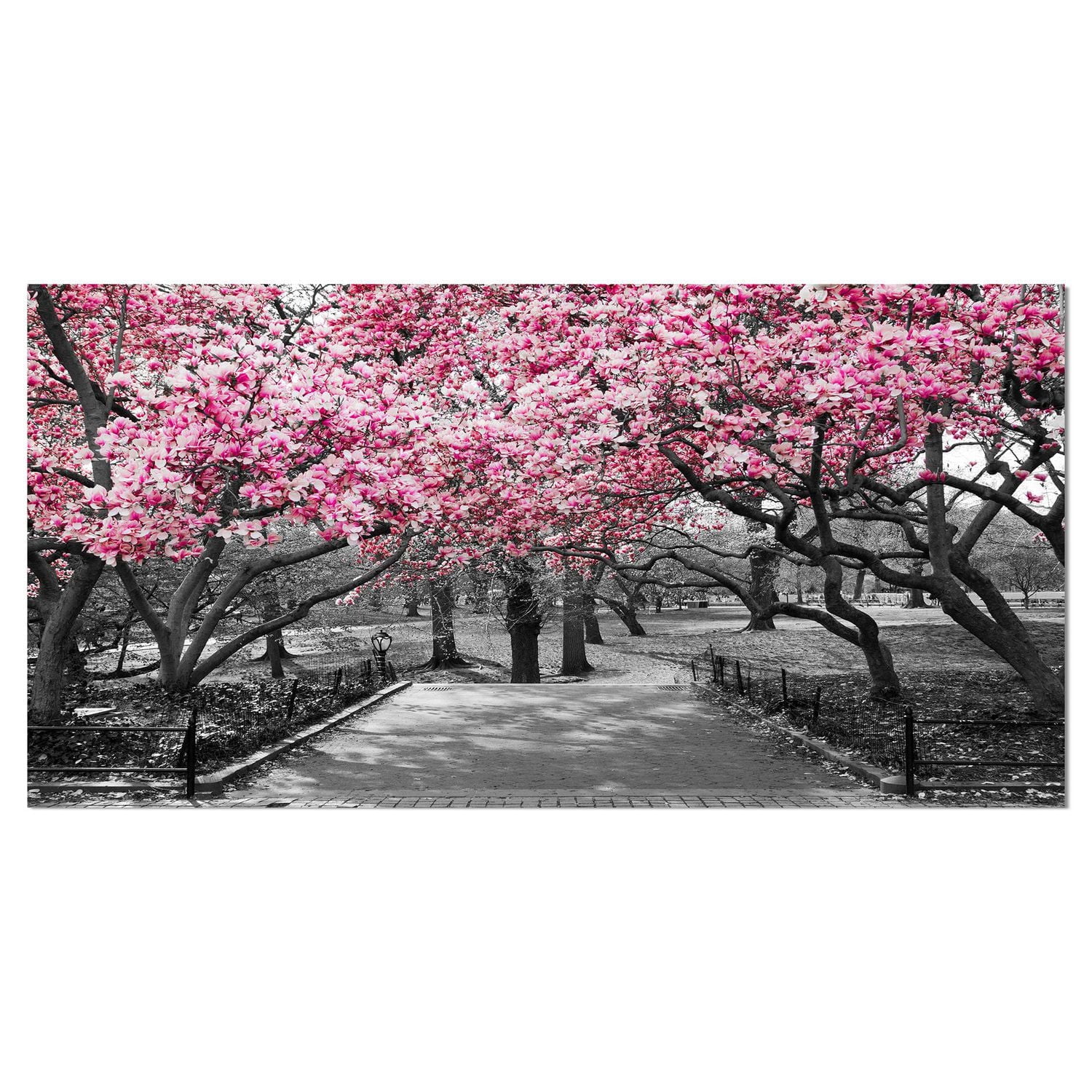 Designart Cherry Blossoms Canvas Wall Art