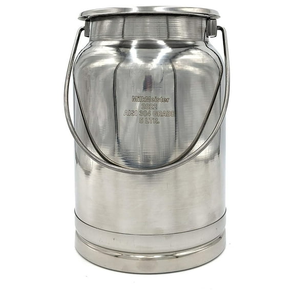ZRuEzyX Stainless Steel Milk Can Totes (5 liter)