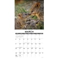 thumbnail image 3 of Quokkas 2026 12 X 12 Wall Calendar, (Hardcover), 3 of 5