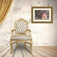 thumbnail image 3 of Stevenson, Graeme 24x17 Gold Ornate Wood Framed with Double Matting Museum Art Print Titled - Age Of Innocence, 3 of 4
