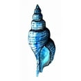 thumbnail image 2 of Smith, Crystal 11x18 White Modern Wood Framed Museum Art Print Titled - Sea Blue Shell, 2 of 4