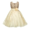 thumbnail image 4 of Gubotare Toddler Dresses for Girl Semi Formal Baby Girls 1st Birthday Outfit Colorful Polka Dots Princess Tutu Dress Cake Smash Clothes Size 6-7 (Rose Gold,6-7 Years), 4 of 7
