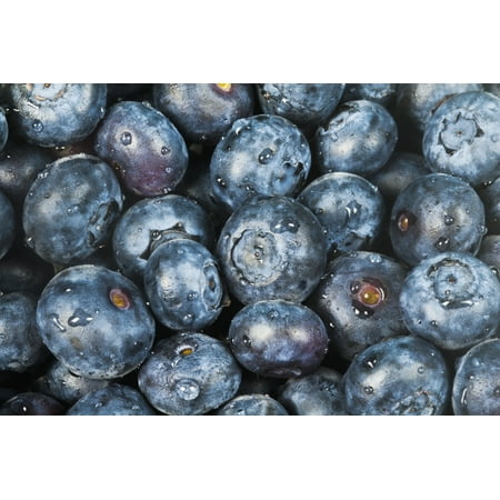 Close up shot of several fresh blueberries Stretched Canvas - Bill Brennan  Design Pics (18 x