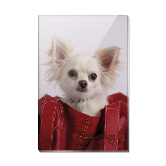 Chihuahua Puppy Dog in Handbag Rectangle Acrylic Fridge Refrigerator Magnet