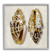 Stupell Industries Speckled Conch Seashell Neutral Tone Sea Life Paintings Gray Framed Art Print Wall Art, 17x17, by Caroline Kelly