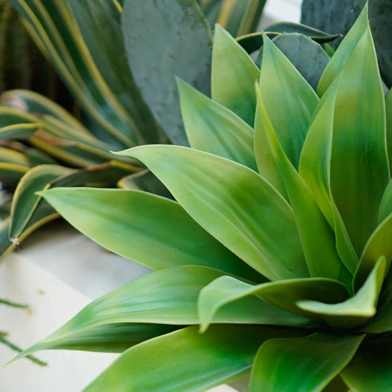 Artificial Plant Outdoor Agave - Large Size UV Resistant Fake Agave Plants for Indoor and Outdoor Decor(28 Inch)