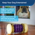 thumbnail image 2 of Soporte para golosinas PetSafe Busy Buddy Nobbly Nubbly para juguetes para perros, tamaño grande, 2 of 6
