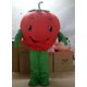 thumbnail image 3 of Disfraz de mascota de tomate de dos estilos de material EVA para hacer rápidamente un traje de dibujos animados de frutas, para publicidad de juegos de rol, regalo de carnaval y vacaciones 587, 3 of 3