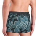 thumbnail image 5 of Balery Blue Color Cactus Men's Boxer Briefs, Soft and Breathable Cotton Underwear with nylon Waistband-X-Large, 5 of 9