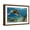 Brown Frame, variant on Art.com Hawaiian Green Sea Turtle Stretched Canvas Print Wall Art by Swims with Fish, 18" x 12"