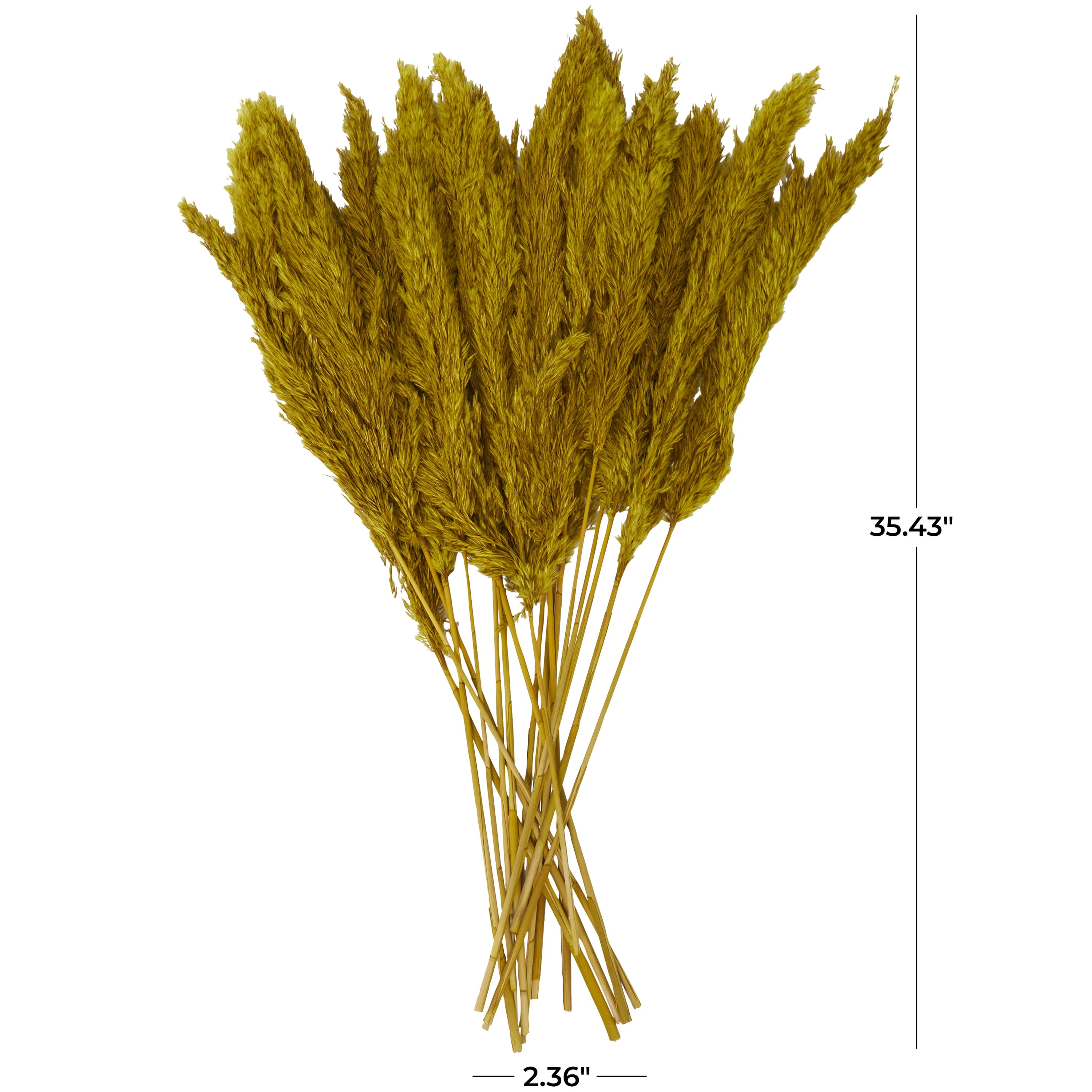35" Dried Plant Natural Foliage Pampas Bouquet with Long Stems, by DecMode